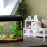 Aquarium